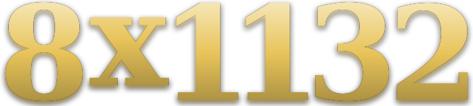 8x1132 logo